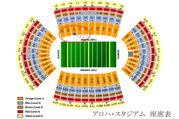 アメフト 観戦 女子